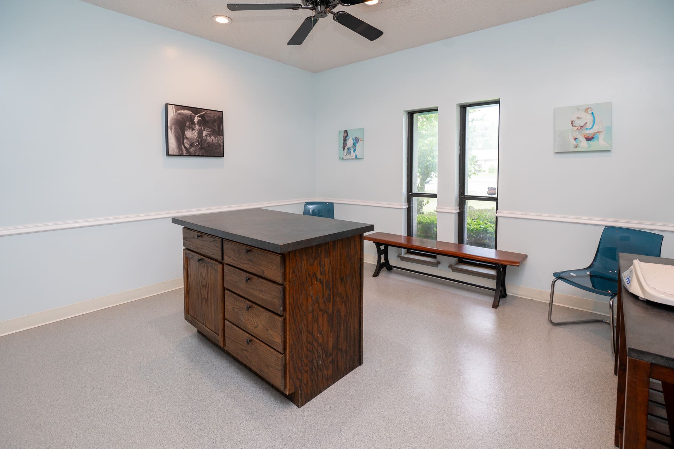 Clinic Photos Of Our Veterinary Clinic In Jacksonville, FL